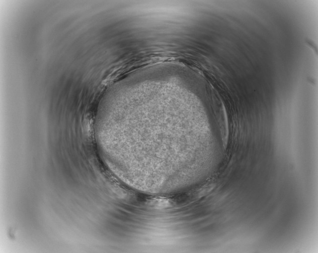 X0000100210276200806271711