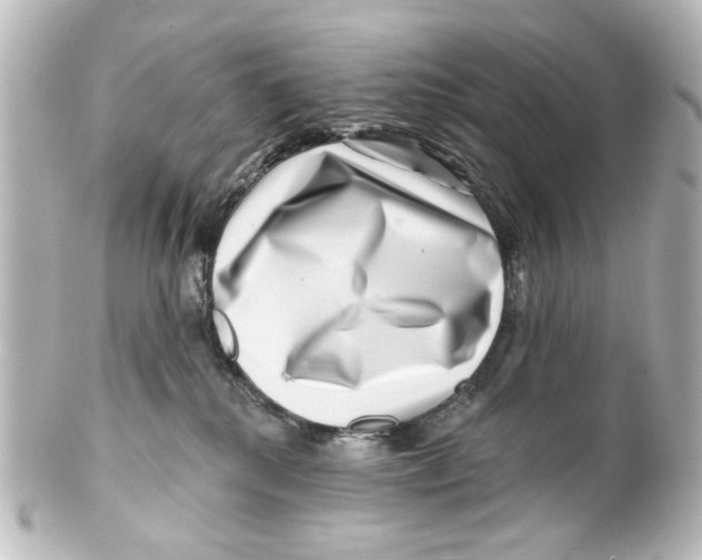 X0000100210280200806271711