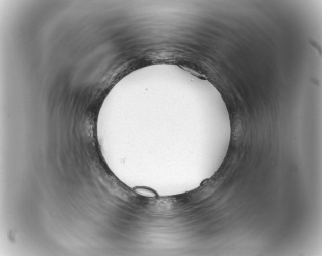 X0000100210282200806271711