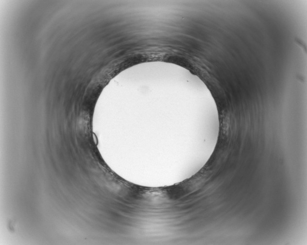 X0000100210283200806271711