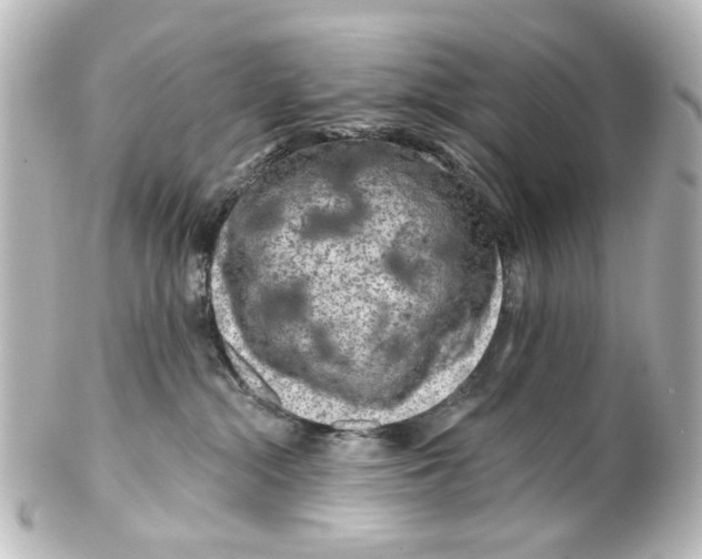 X0000100210284200806271711
