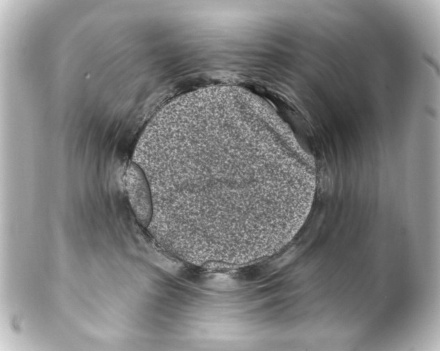 X0000100210285200806271711