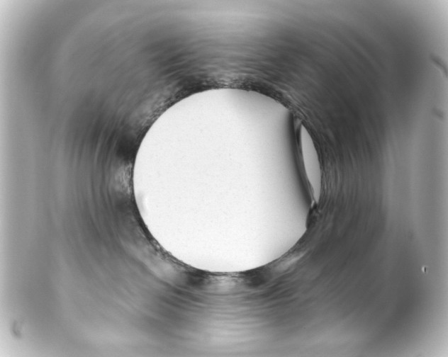 X0000100210286200806271711