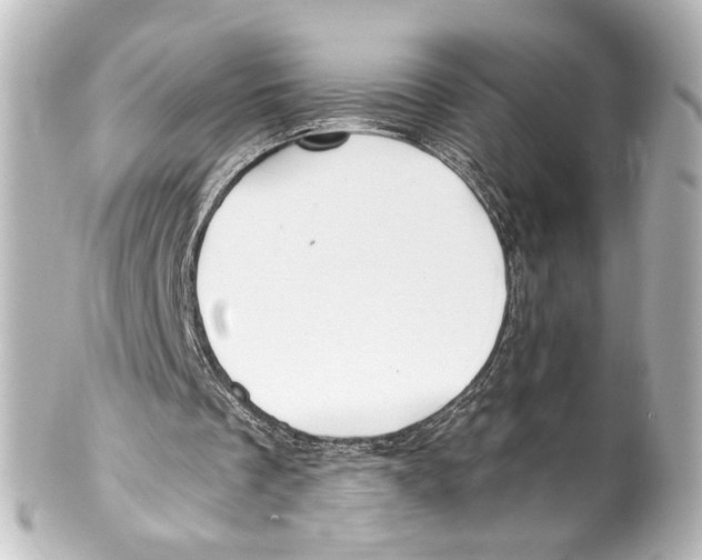 X0000100210289200806271710