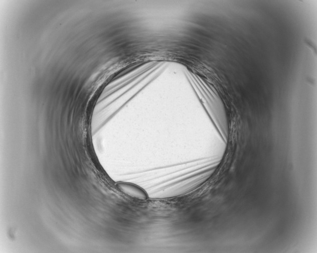 X0000100210290200806271710