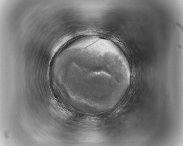 X0000100210292200806271710