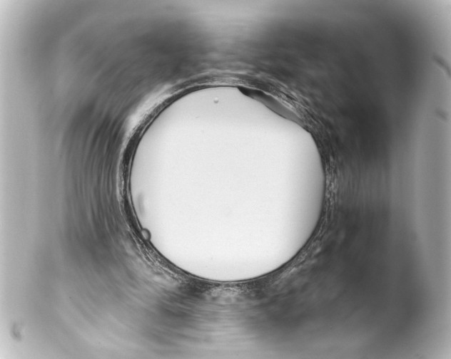 X0000100210294200806271710