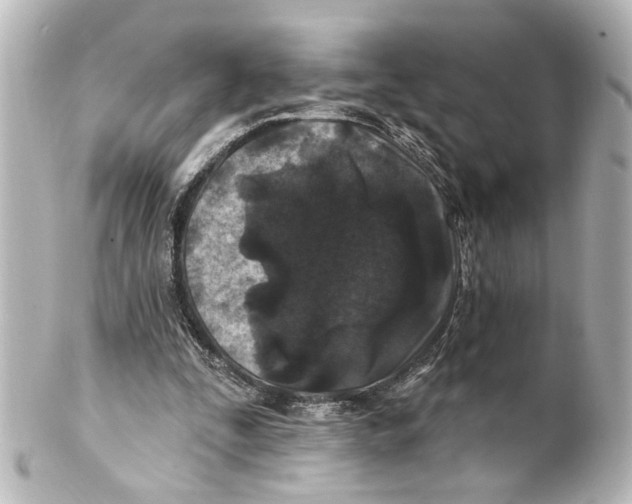 X0000100210295200806271710