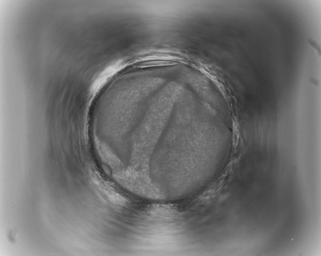 X0000100210296200806271710