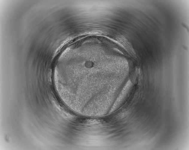 X0000100210300200806271710