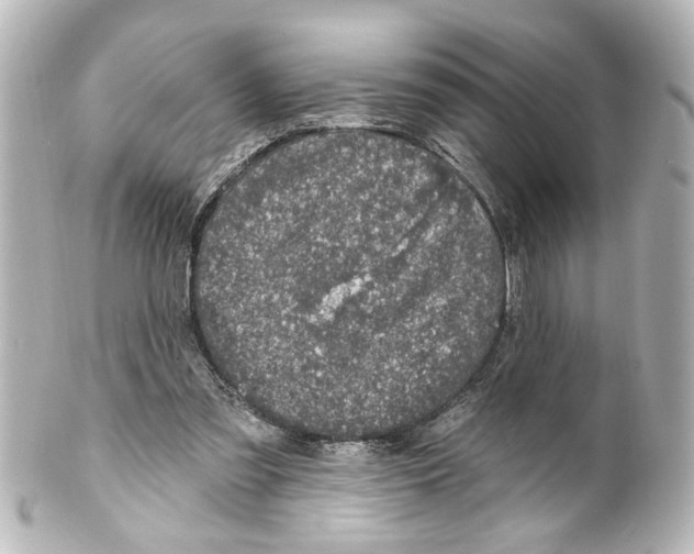 X0000100210301200806271710