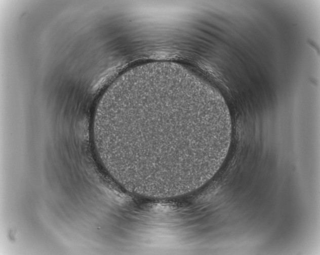 X0000100210303200806271710