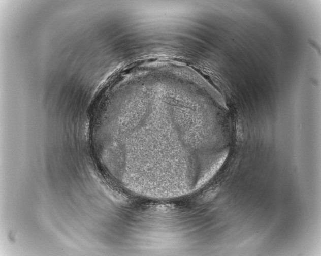 X0000100210304200806271710