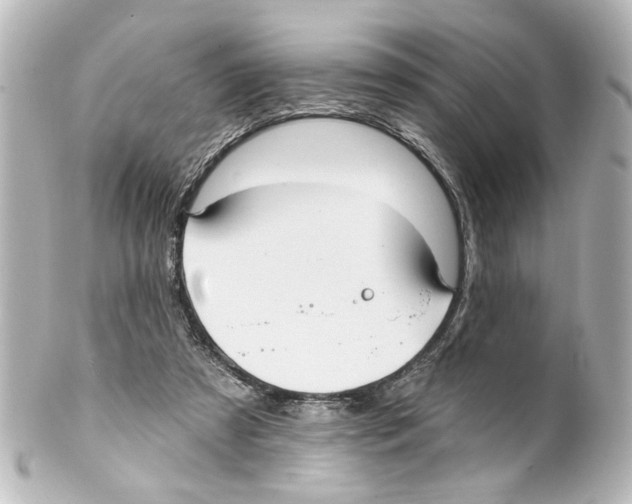 X0000100210305200806271710