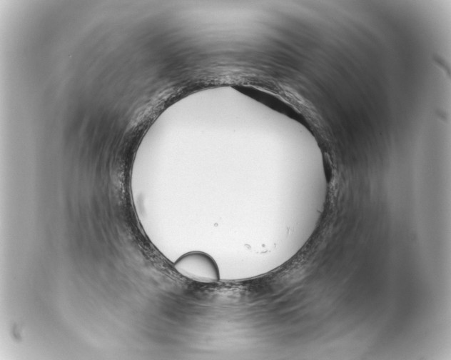 X0000100210306200806271710
