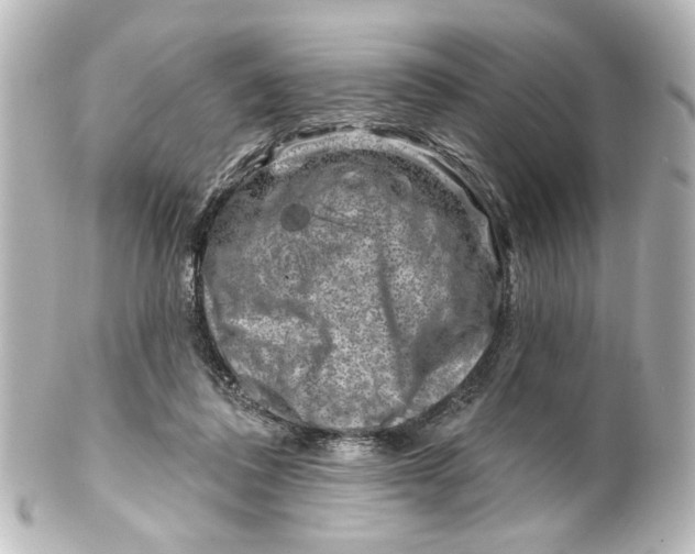 X0000100210308200806271710