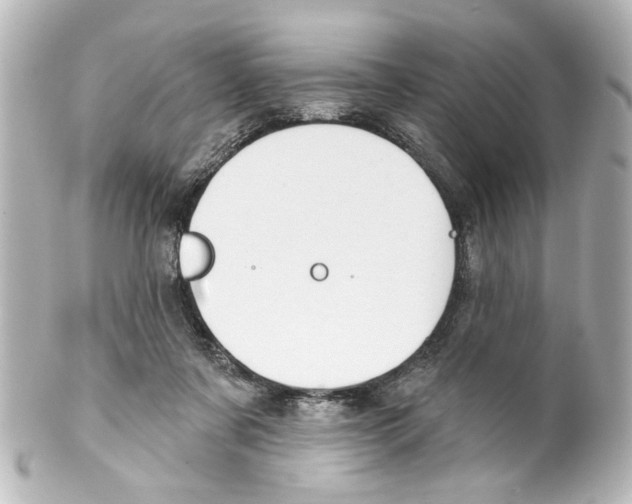 X0000100210311200806271710