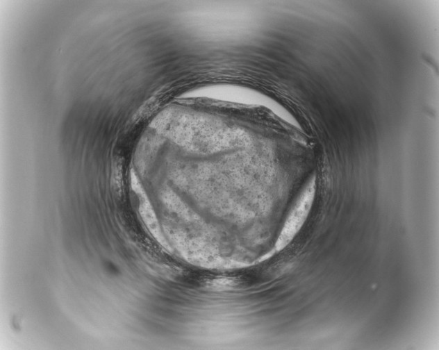 X0000100210312200806271710
