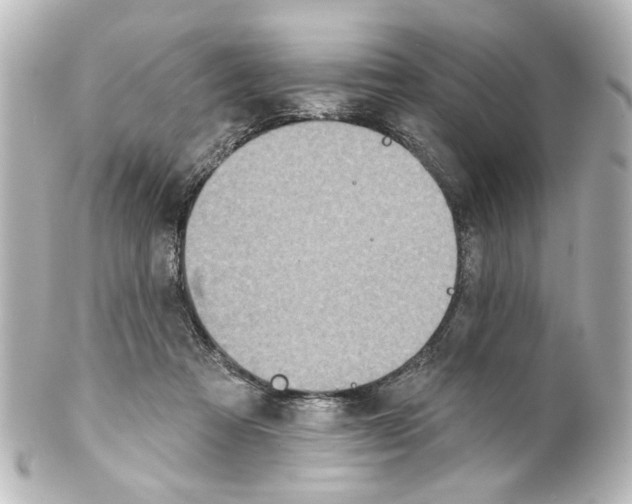 X0000100210313200806271710