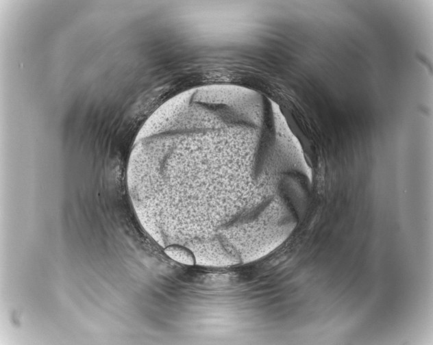 X0000100210314200806271710