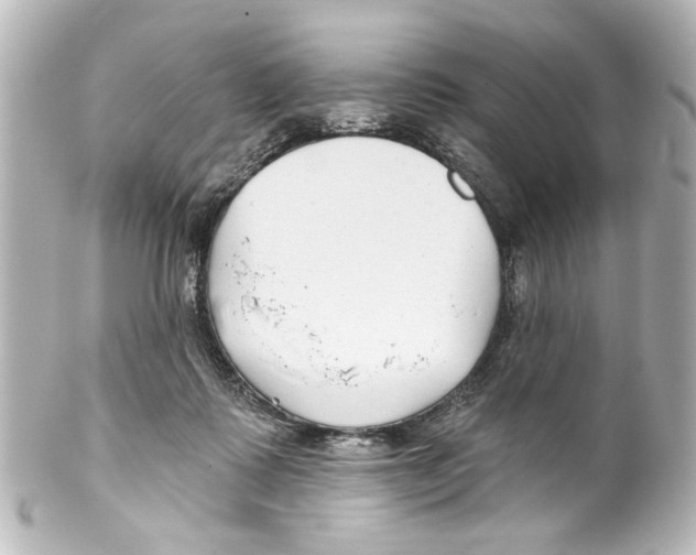 X0000100210315200806271710