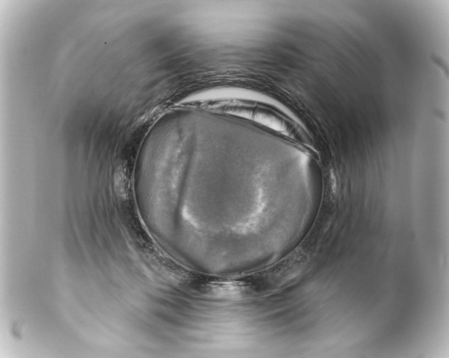 X0000100210316200806271710