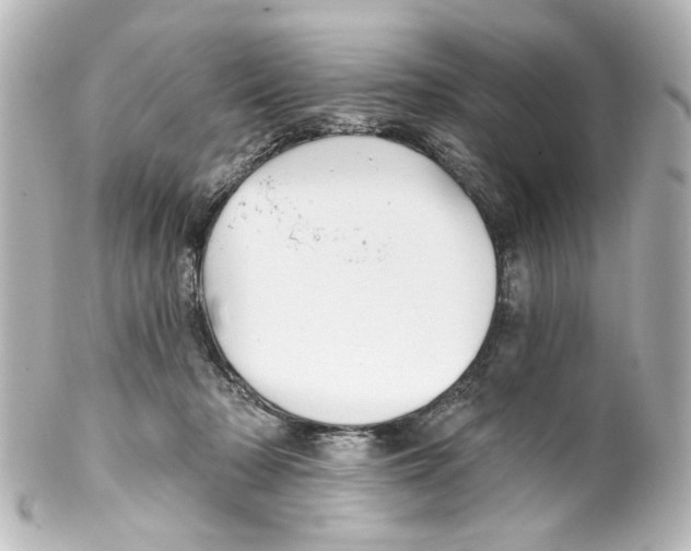 X0000100210318200806271710