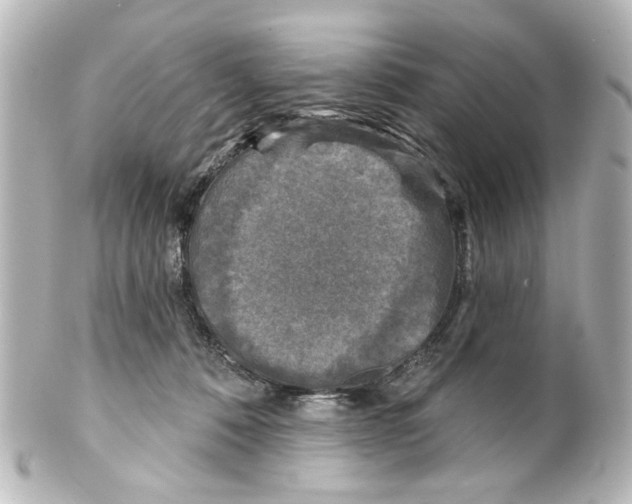 X0000100210320200806271710