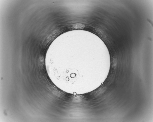 X0000100210321200806271710