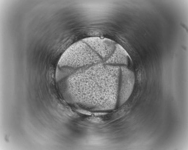 X0000100210322200806271710