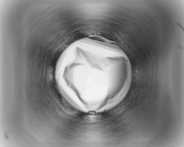 X0000100210323200806271710