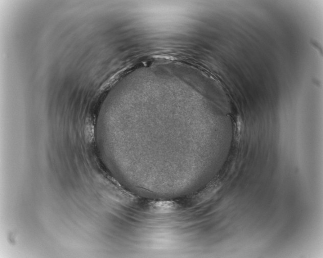 X0000100210324200806271710