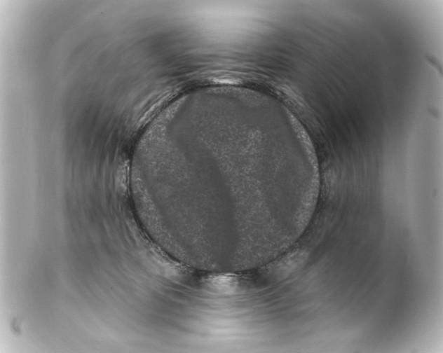 X0000100210325200806271710