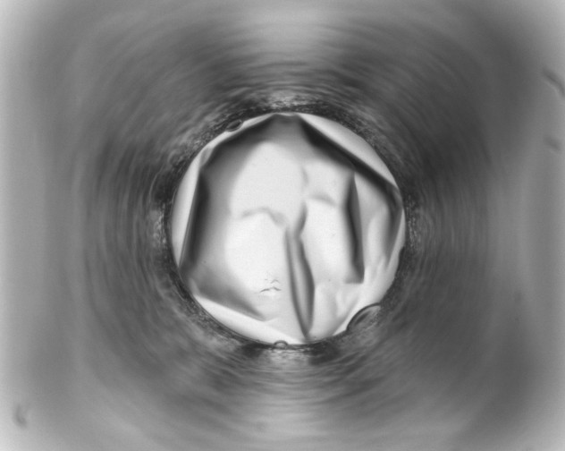 X0000100210327200806271710