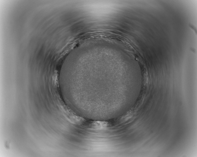 X0000100210328200806271710