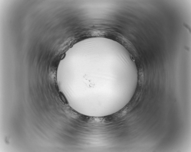 X0000100210329200806271710