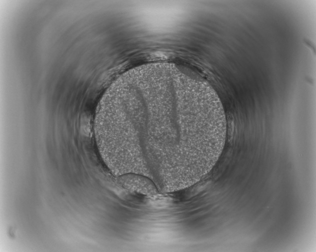 X0000100210331200806271710