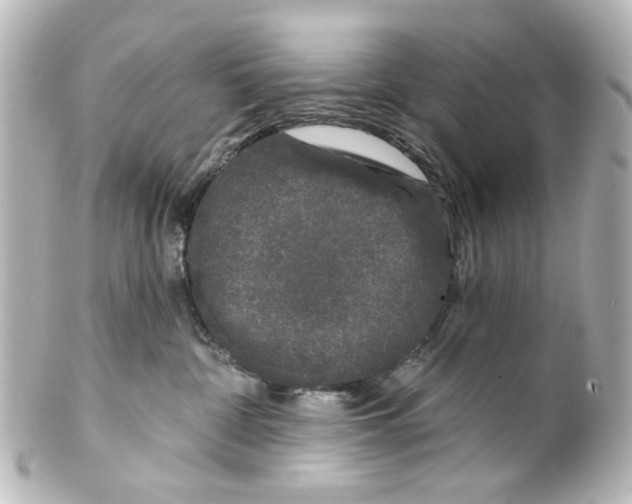 X0000100210332200806271710