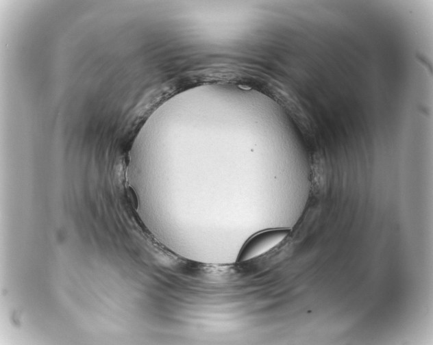 X0000100210333200806271710