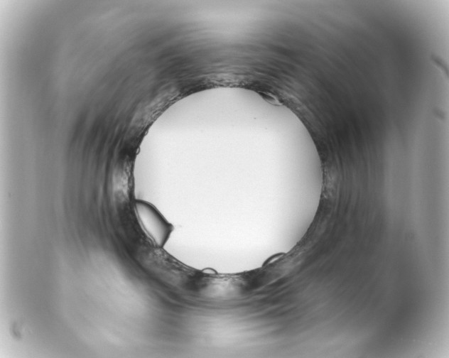 X0000100210334200806271710