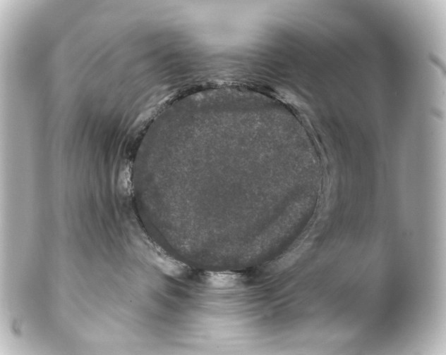 X0000100210336200806271709