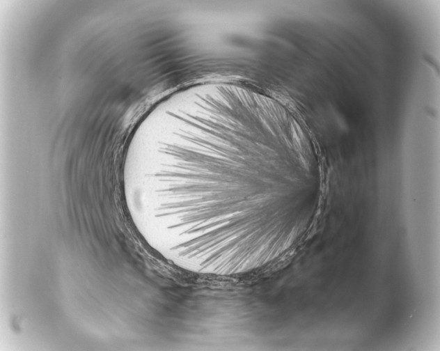 X0000100210337200806271709