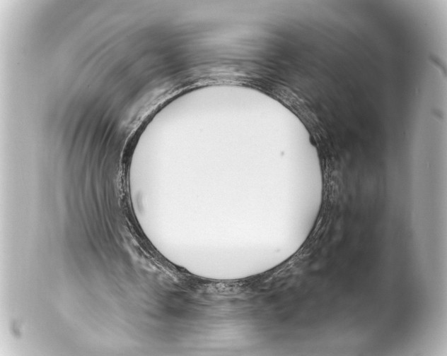 X0000100210338200806271709