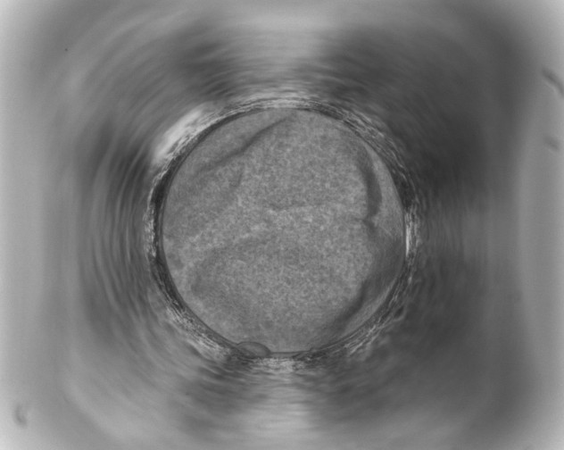 X0000100210339200806271709