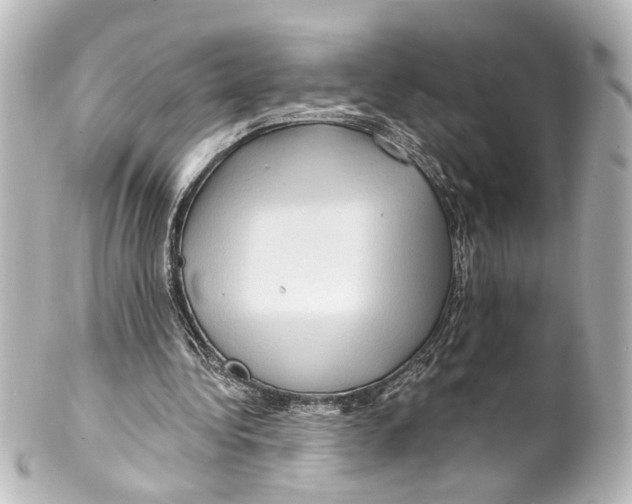 X0000100210340200806271709