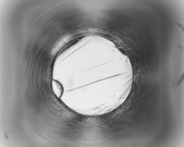 X0000100210341200806271709