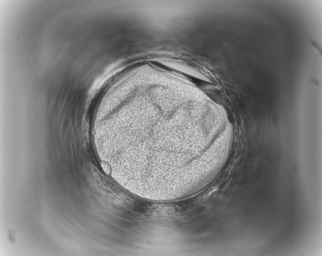 X0000100210343200806271709
