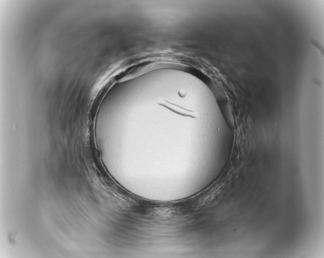 X0000100210344200806271709