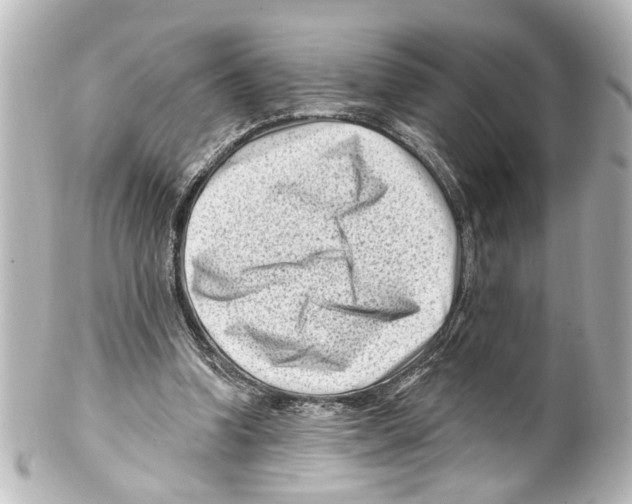 X0000100210346200806271709