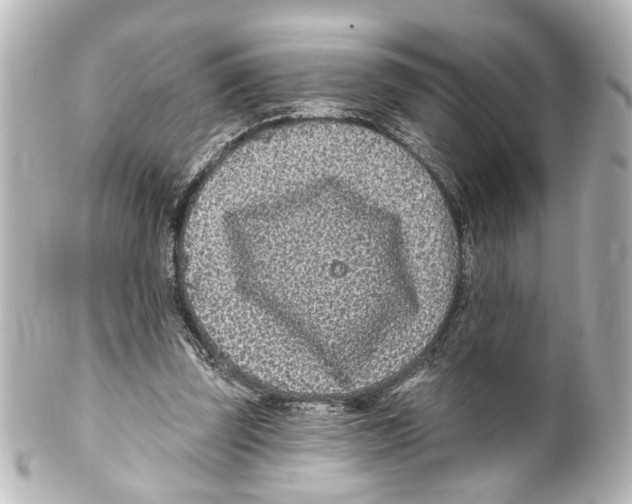 X0000100210347200806271709
